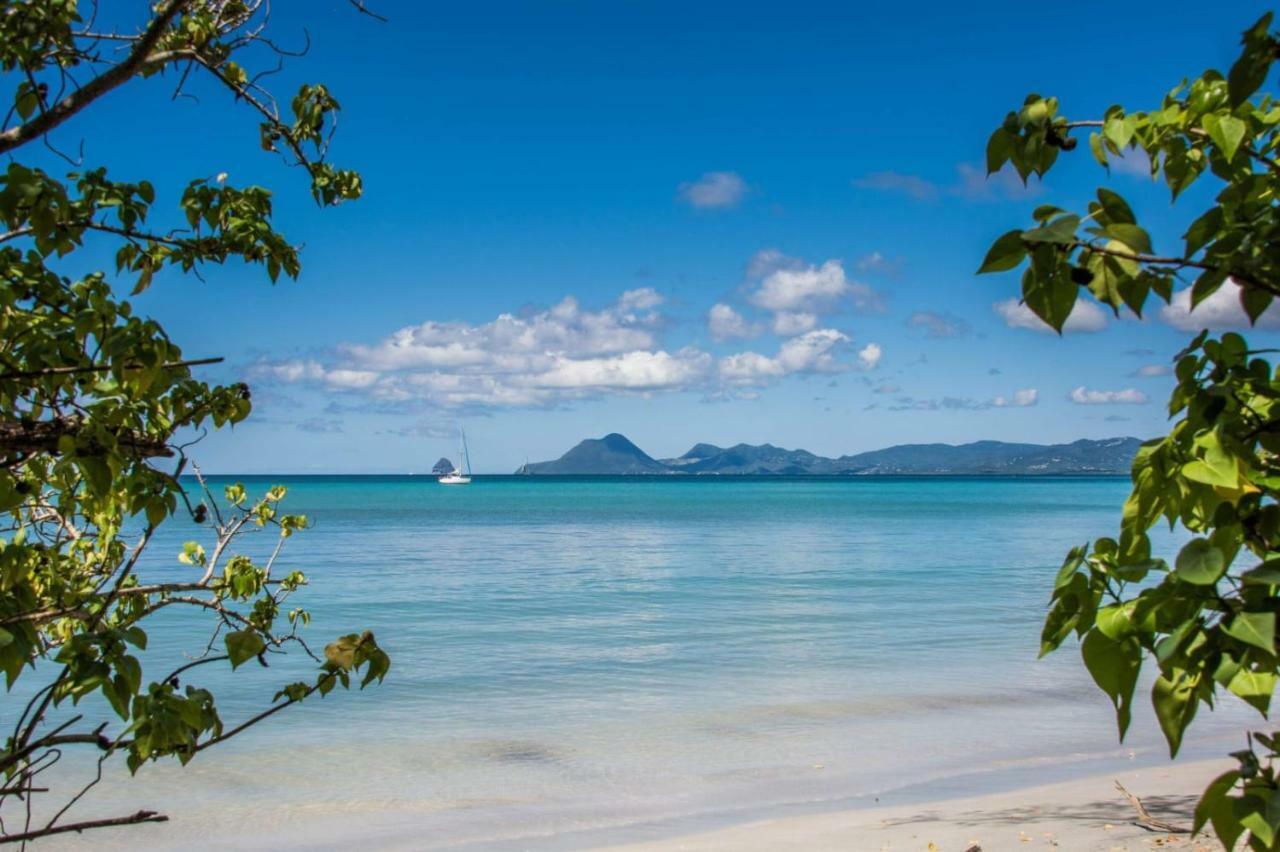 Studio A Louer Proche Des Plages Apartman Sainte-Anne Kültér fotó